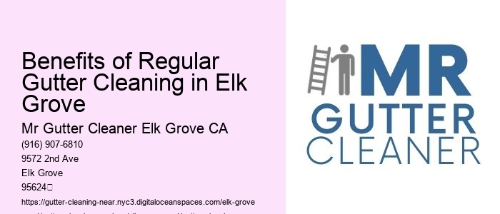 Benefits of Regular Gutter Cleaning in Elk Grove
