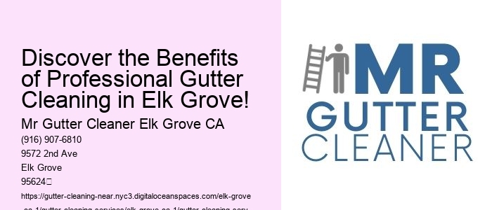 Discover the Benefits of Professional Gutter Cleaning in Elk Grove!