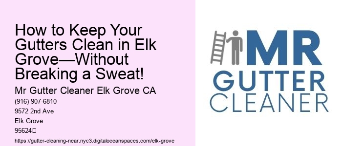 How to Keep Your Gutters Clean in Elk Grove—Without Breaking a Sweat! 