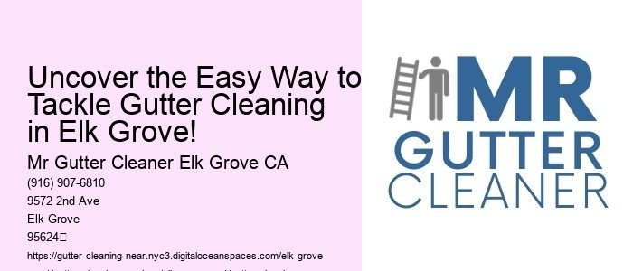 Uncover the Easy Way to Tackle Gutter Cleaning in Elk Grove!