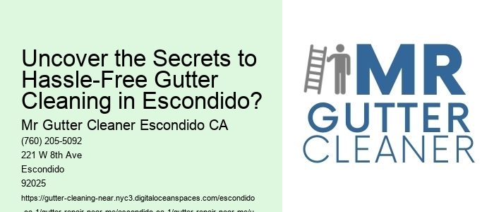 Uncover the Secrets to Hassle-Free Gutter Cleaning in Escondido?