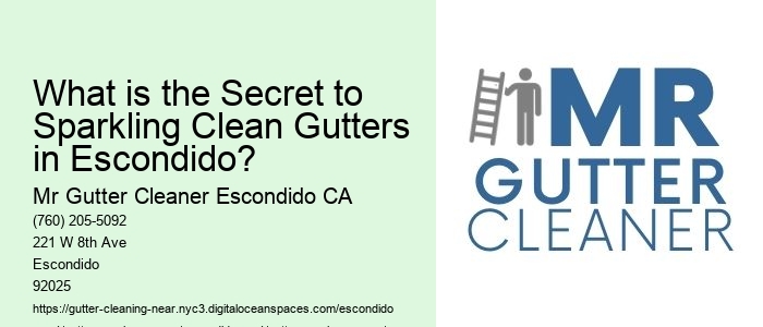 What is the Secret to Sparkling Clean Gutters in Escondido? 