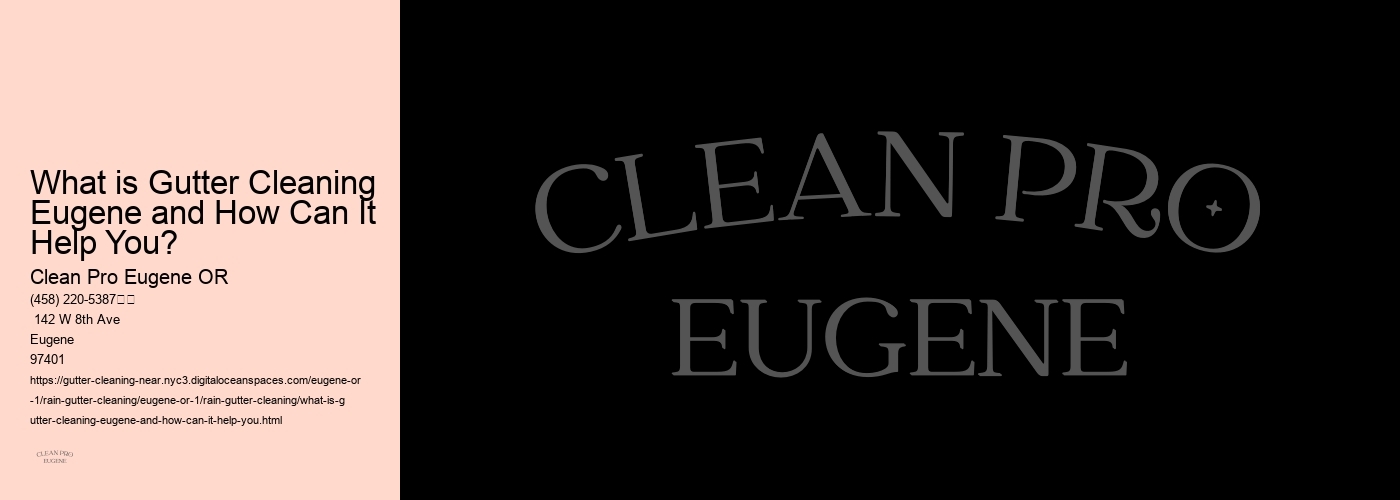 What is Gutter Cleaning Eugene and How Can It Help You?