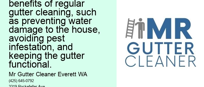 Importance of Regular Gutter Cleaning: This topic can include the benefits of regular gutter cleaning, such as preventing water damage to the house, avoiding pest infestation, and keeping the gutter functional.