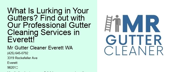 What Is Lurking in Your Gutters? Find out with Our Professional Gutter Cleaning Services in Everett!