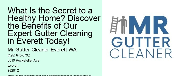What Is the Secret to a Healthy Home? Discover the Benefits of Our Expert Gutter Cleaning in Everett Today!