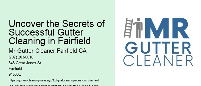 Uncover the Secrets of Successful Gutter Cleaning in Fairfield