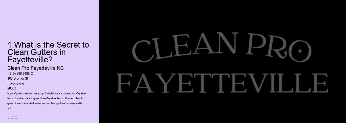 1.What is the Secret to Clean Gutters in Fayetteville?