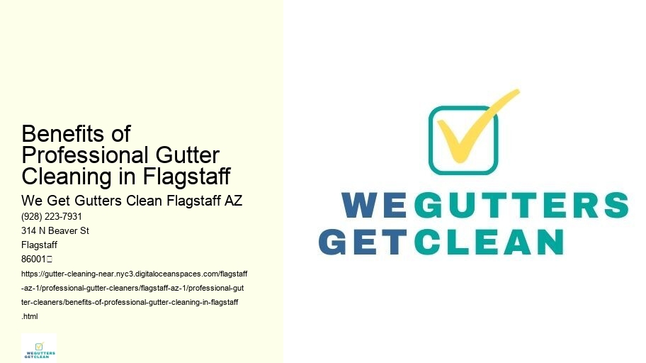 Benefits of Professional Gutter Cleaning in Flagstaff 