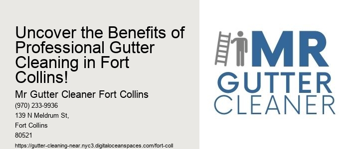 Uncover the Benefits of Professional Gutter Cleaning in Fort Collins!