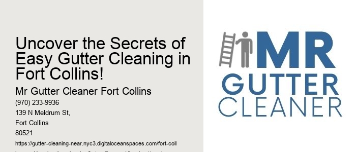 Uncover the Secrets of Easy Gutter Cleaning in Fort Collins!