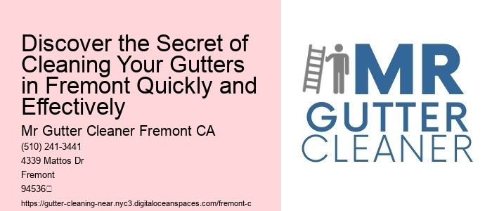Discover the Secret of Cleaning Your Gutters in Fremont Quickly and Effectively