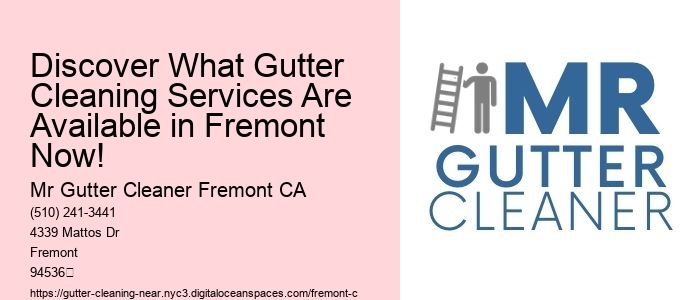Discover What Gutter Cleaning Services Are Available in Fremont Now!