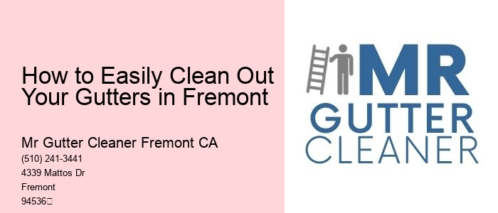 How to Easily Clean Out Your Gutters in Fremont 