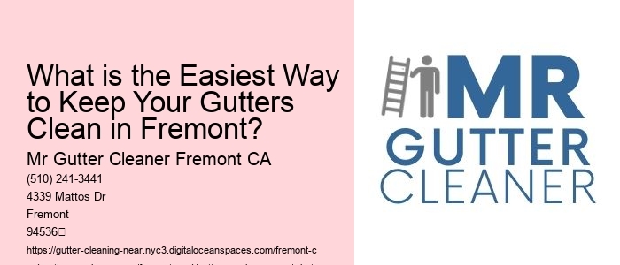 What is the Easiest Way to Keep Your Gutters Clean in Fremont? 