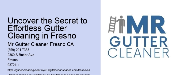Uncover the Secret to Effortless Gutter Cleaning in Fresno