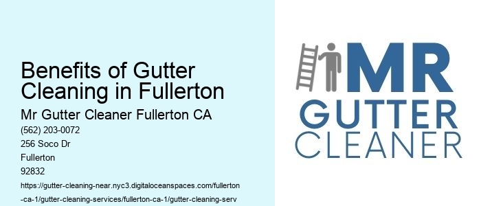 Benefits of Gutter Cleaning in Fullerton 