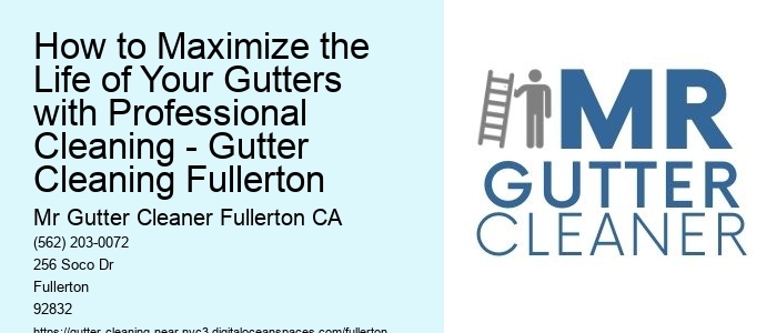 How to Maximize the Life of Your Gutters with Professional Cleaning - Gutter Cleaning Fullerton