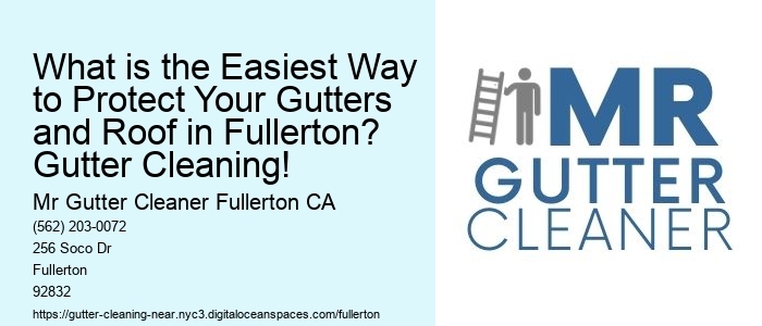What is the Easiest Way to Protect Your Gutters and Roof in Fullerton? Gutter Cleaning!