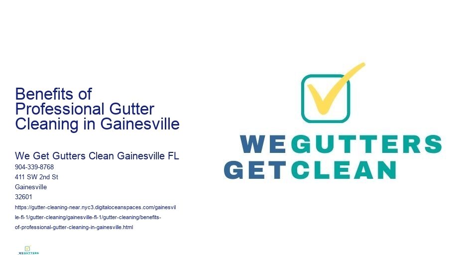 Benefits of Professional Gutter Cleaning in Gainesville 