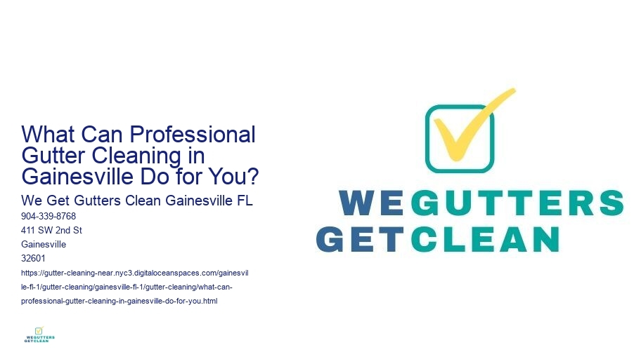 What Can Professional Gutter Cleaning in Gainesville Do for You?