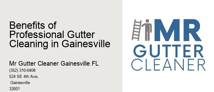 Benefits of Professional Gutter Cleaning in Gainesville 