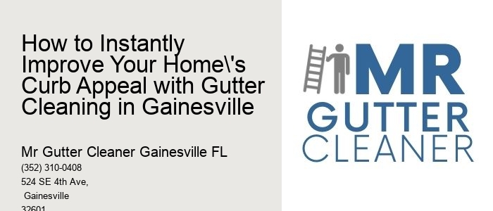 How to Instantly Improve Your Home's Curb Appeal with Gutter Cleaning in Gainesville 