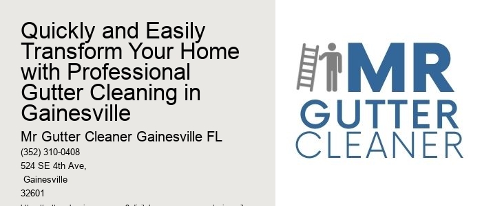 Quickly and Easily Transform Your Home with Professional Gutter Cleaning in Gainesville