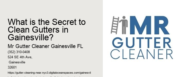 What is the Secret to Clean Gutters in Gainesville? 