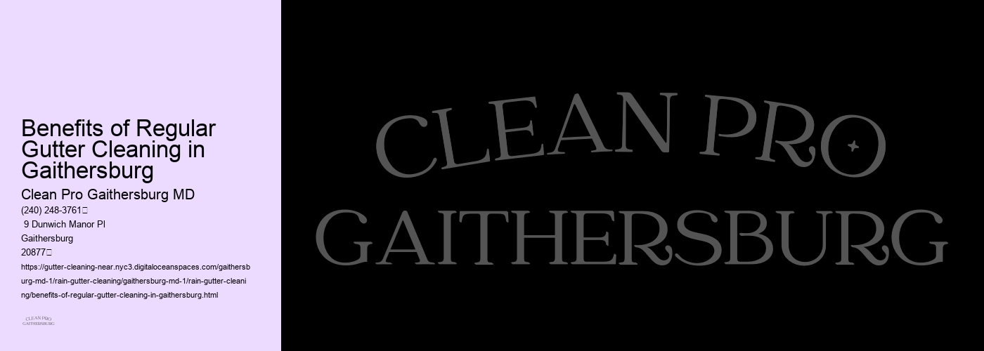 Benefits of Regular Gutter Cleaning in Gaithersburg 