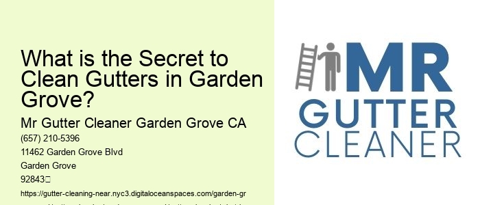 What is the Secret to Clean Gutters in Garden Grove? 