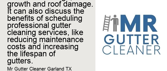 Importance of regular gutter cleaning: This topic can focus on the problems that can arise due to clogged gutters, like water damage, mold growth and roof damage. It can also discuss the benefits of scheduling professional gutter cleaning services, like reducing maintenance costs and increasing the lifespan of gutters.