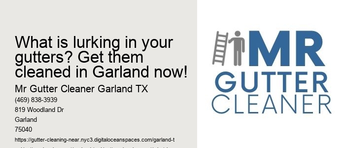 What is lurking in your gutters? Get them cleaned in Garland now!