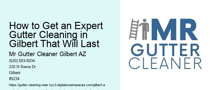 How to Get an Expert Gutter Cleaning in Gilbert That Will Last
