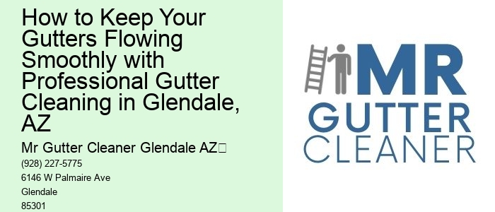How to Keep Your Gutters Flowing Smoothly with Professional Gutter Cleaning in Glendale, AZ 