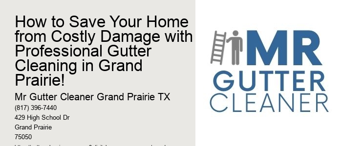 How to Save Your Home from Costly Damage with Professional Gutter Cleaning in Grand Prairie!