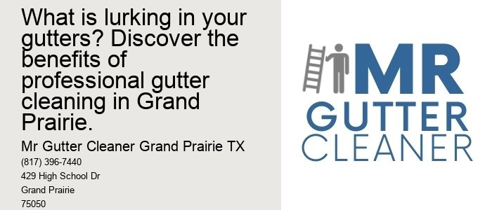 What is lurking in your gutters? Discover the benefits of professional gutter cleaning in Grand Prairie.