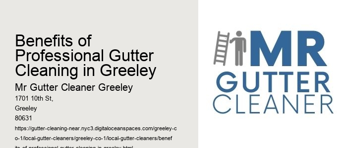 Benefits of Professional Gutter Cleaning in Greeley 