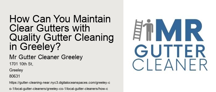 How Can You Maintain Clear Gutters with Quality Gutter Cleaning in Greeley?
