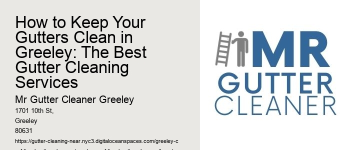 How to Keep Your Gutters Clean in Greeley: The Best Gutter Cleaning Services 