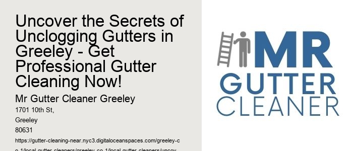 Uncover the Secrets of Unclogging Gutters in Greeley - Get Professional Gutter Cleaning Now!