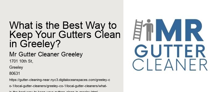 What is the Best Way to Keep Your Gutters Clean in Greeley? 