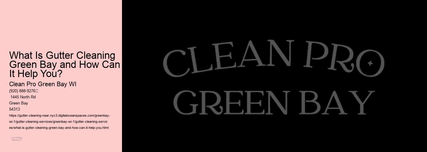 What Is Gutter Cleaning Green Bay and How Can It Help You?