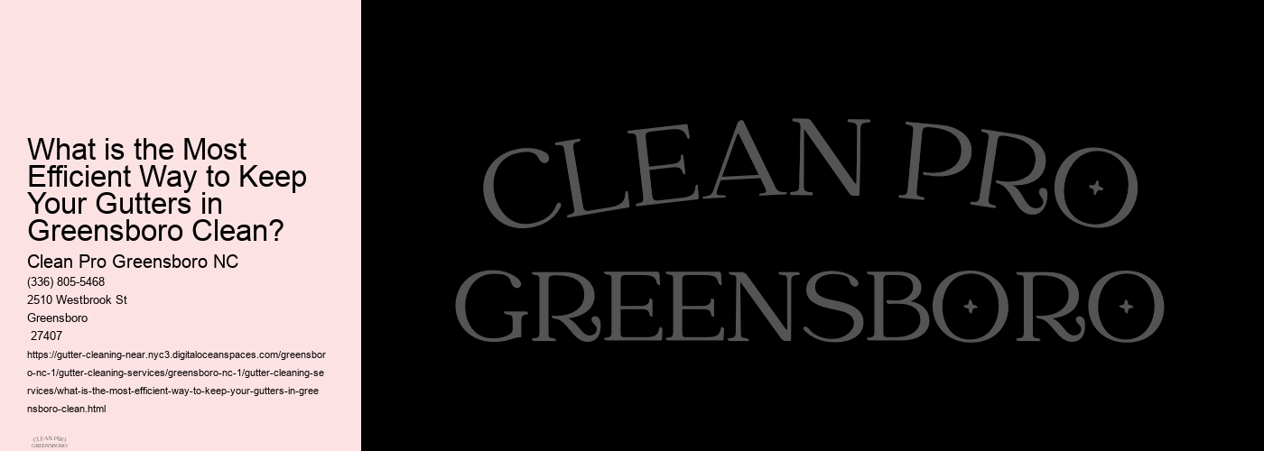 What is the Most Efficient Way to Keep Your Gutters in Greensboro Clean? 