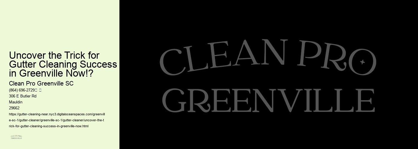Uncover the Trick for Gutter Cleaning Success in Greenville Now!?