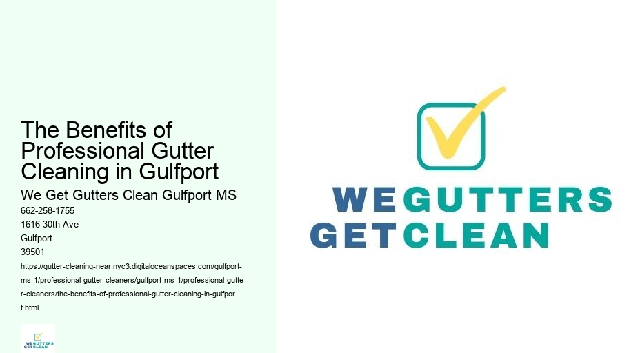 The Benefits of Professional Gutter Cleaning in Gulfport 