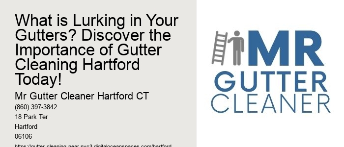 What is Lurking in Your Gutters? Discover the Importance of Gutter Cleaning Hartford Today! 
