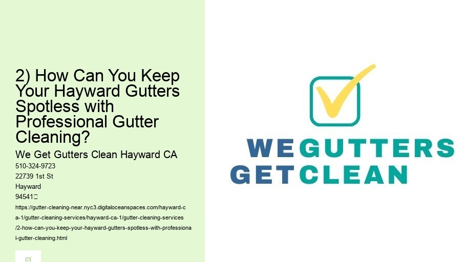 2) How Can You Keep Your Hayward Gutters Spotless with Professional Gutter Cleaning?