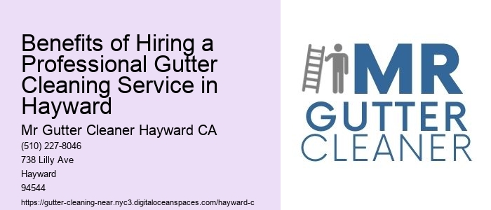 Benefits of Hiring a Professional Gutter Cleaning Service in Hayward