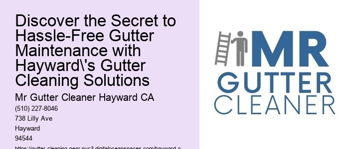 Discover the Secret to Hassle-Free Gutter Maintenance with Hayward's Gutter Cleaning Solutions